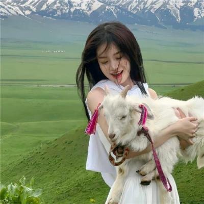 真的要去航海 第一季